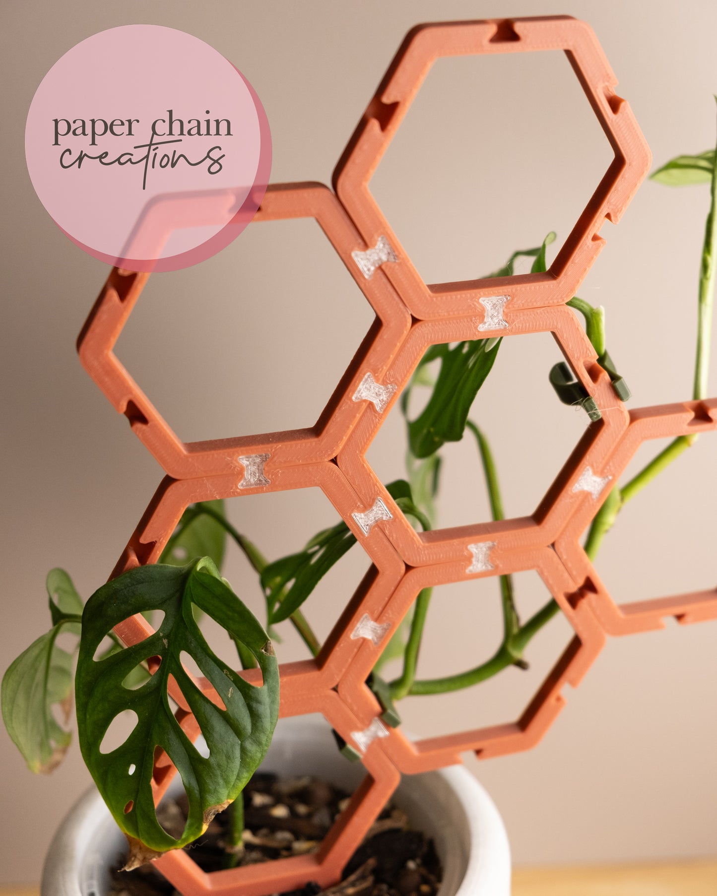 Hexagon Clip Together Modular Plant Trellis