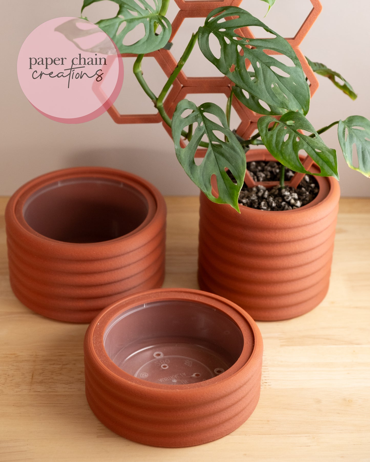 The Raspberry Pot with Liner