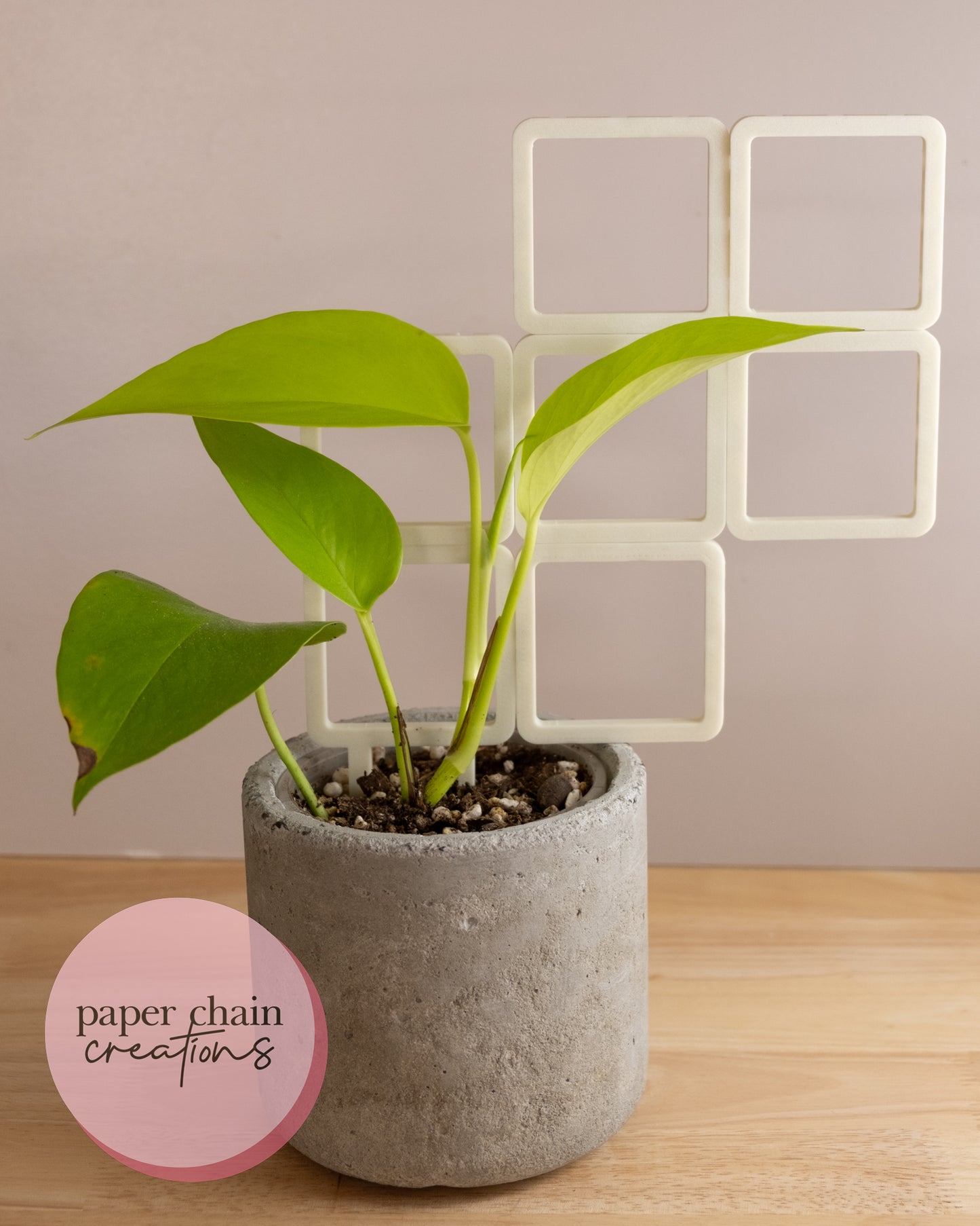 Square Clip Together Modular Plant Trellis