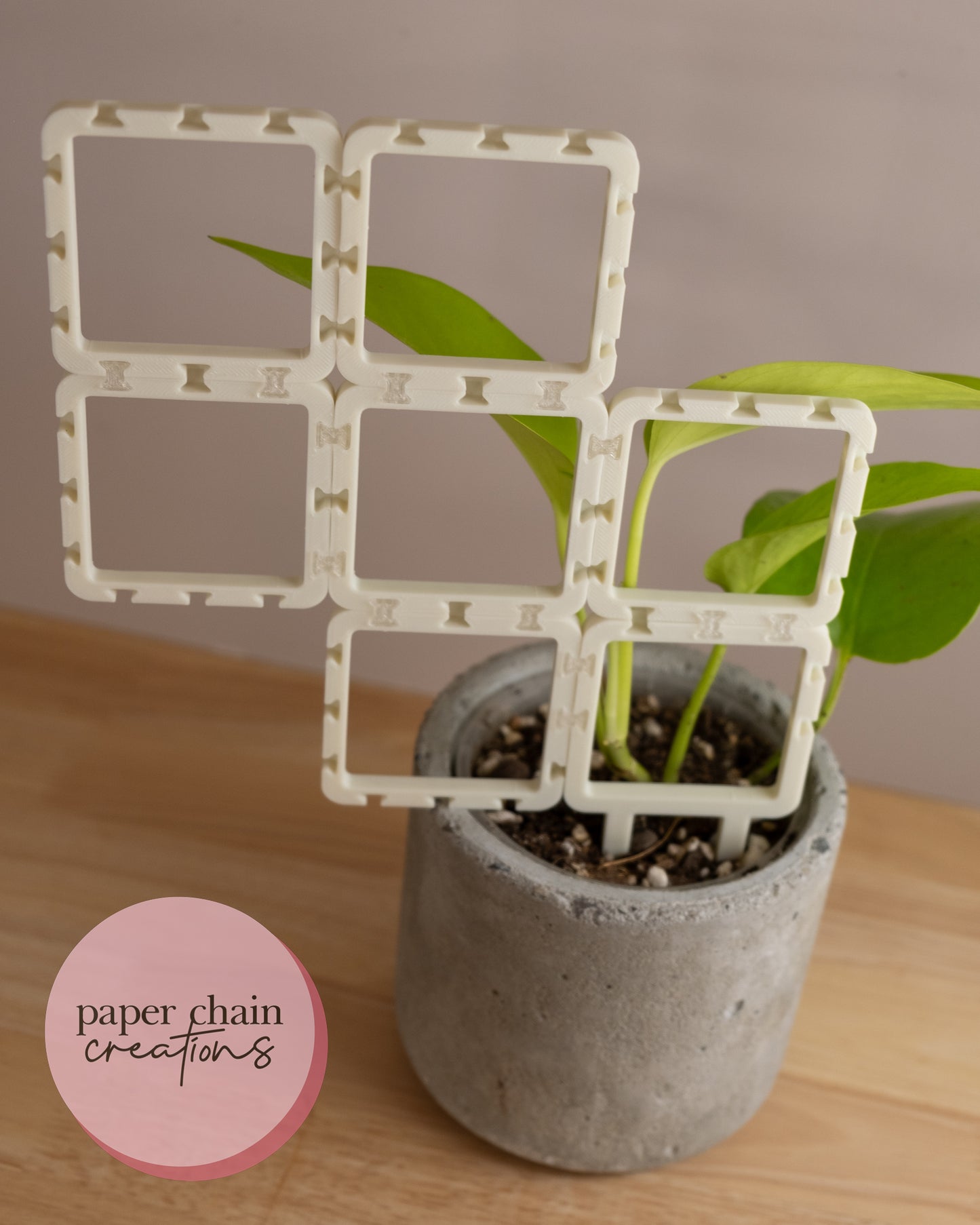 Square Clip Together Modular Plant Trellis